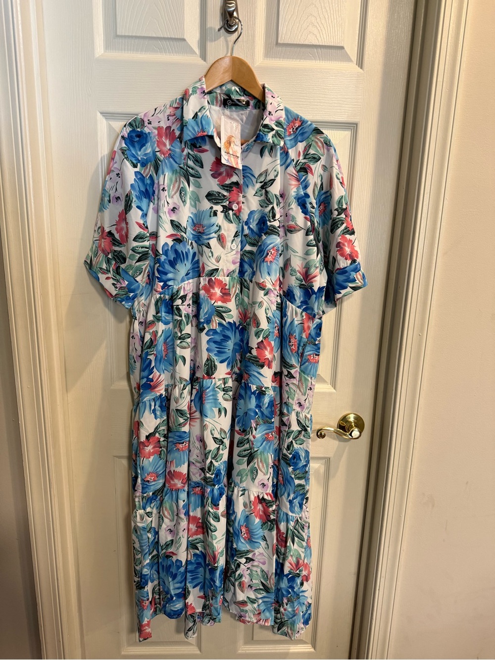Pretty Garden Button-Front Floral Midi Dress in Blue & Pink